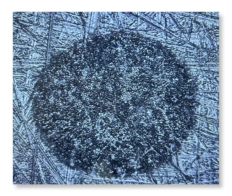 D30μm.jpg D30μm.jpg